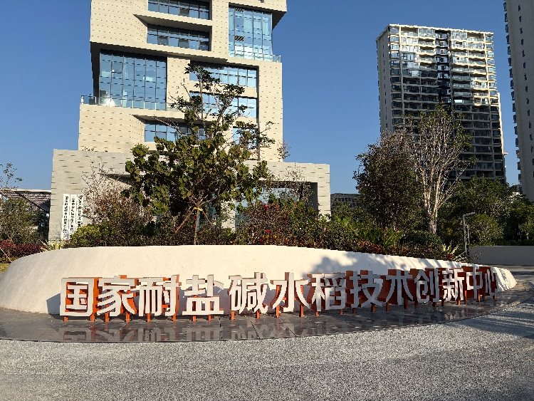 向种图强——中南财经政法大学“种芯筑